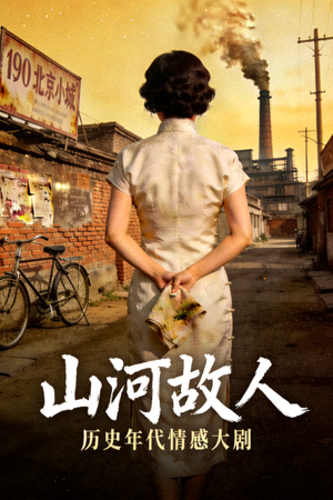 国产剧《山河故人》海报 - 历史年代情感大剧